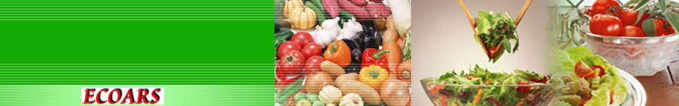 家庭菜園上達のコツ